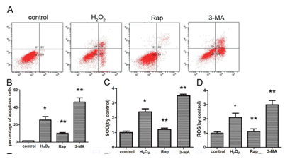 5bffaf9e200a0.png image.png